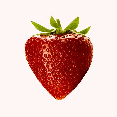 Fresh Tomato