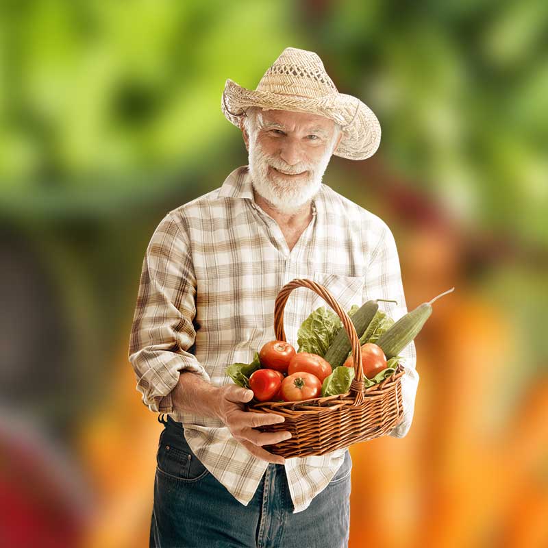 Best Organic Fruits And Vegetables