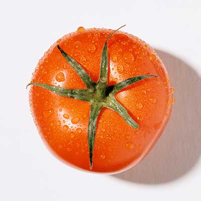 Fresh Tomato