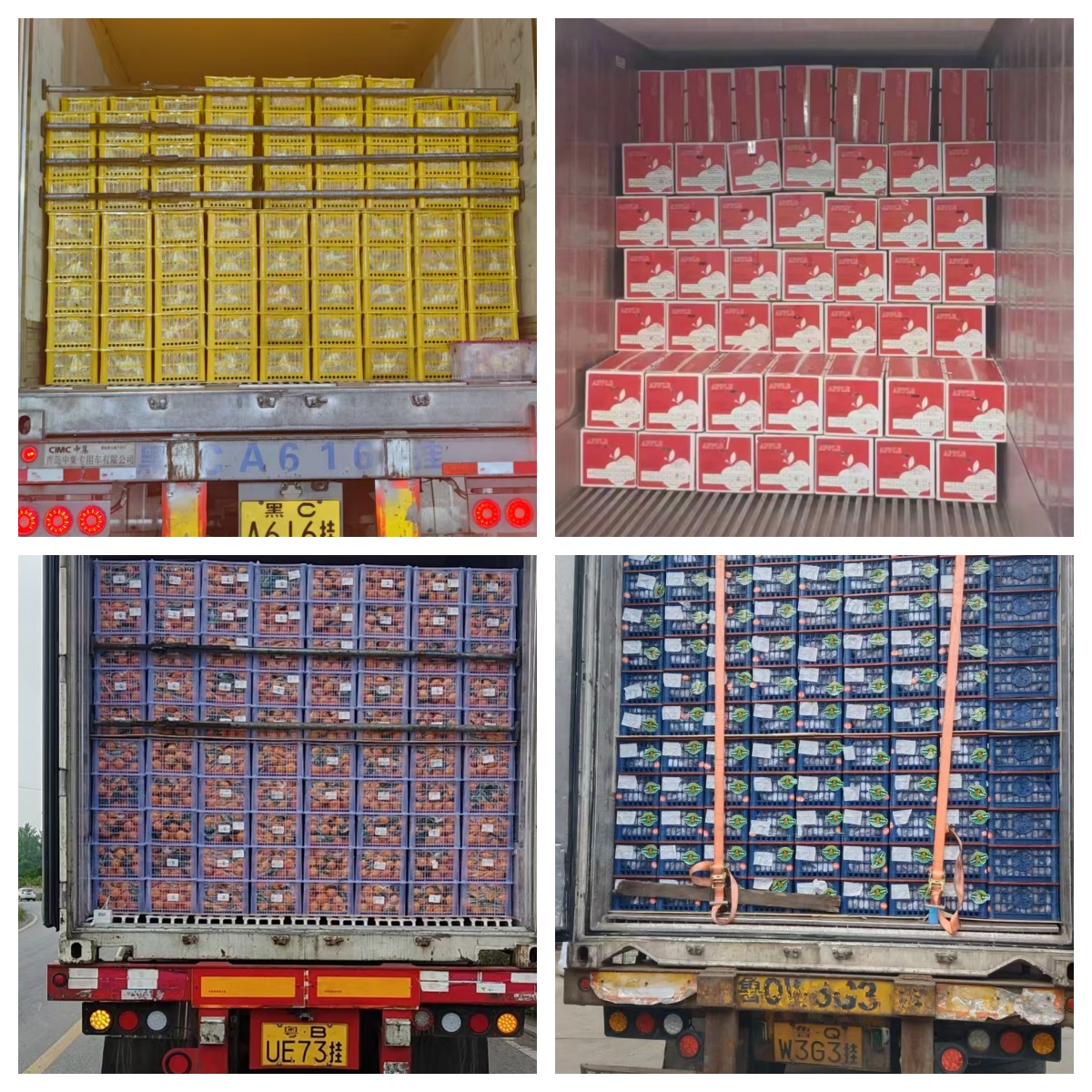 Product Supply
