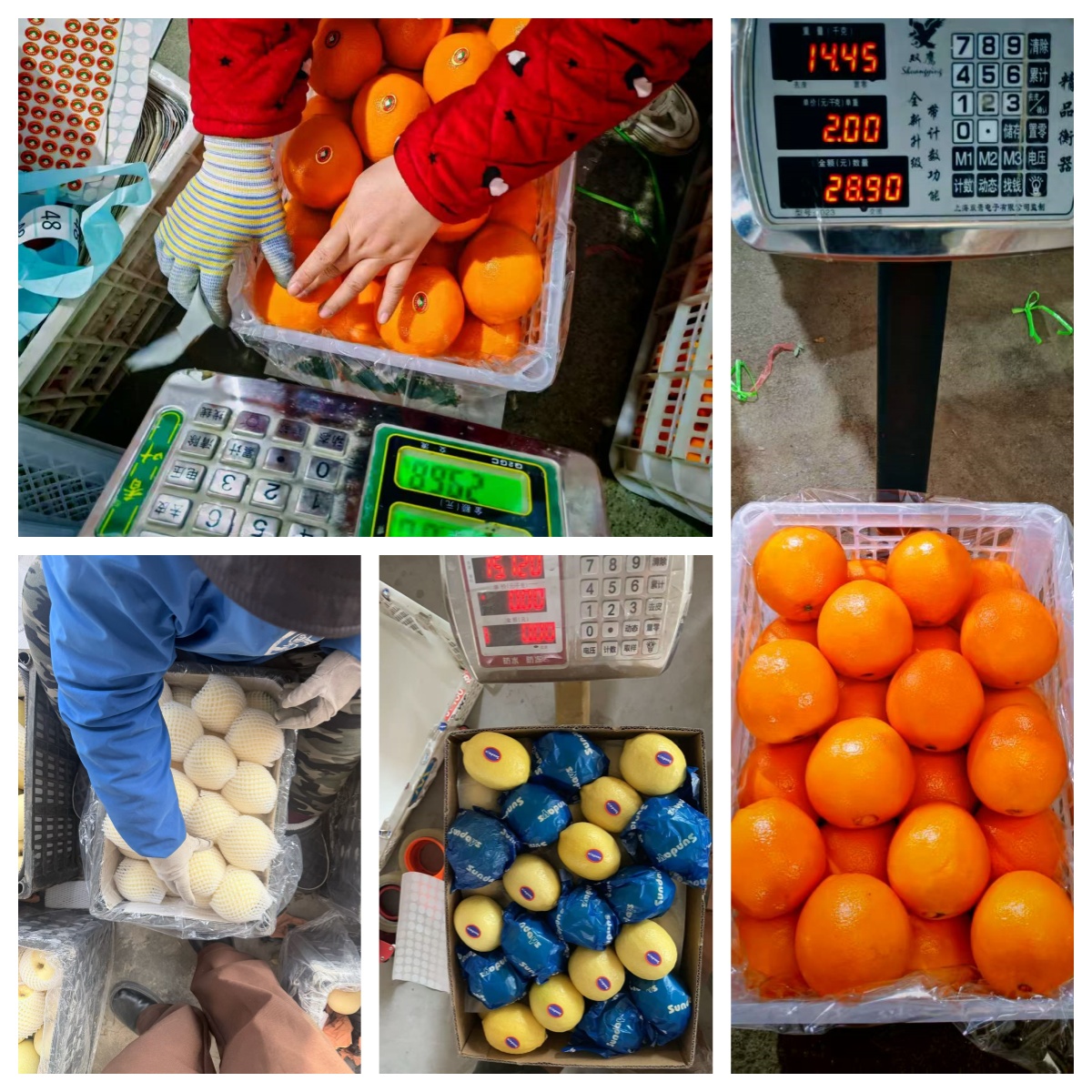 Sorting & Weighing