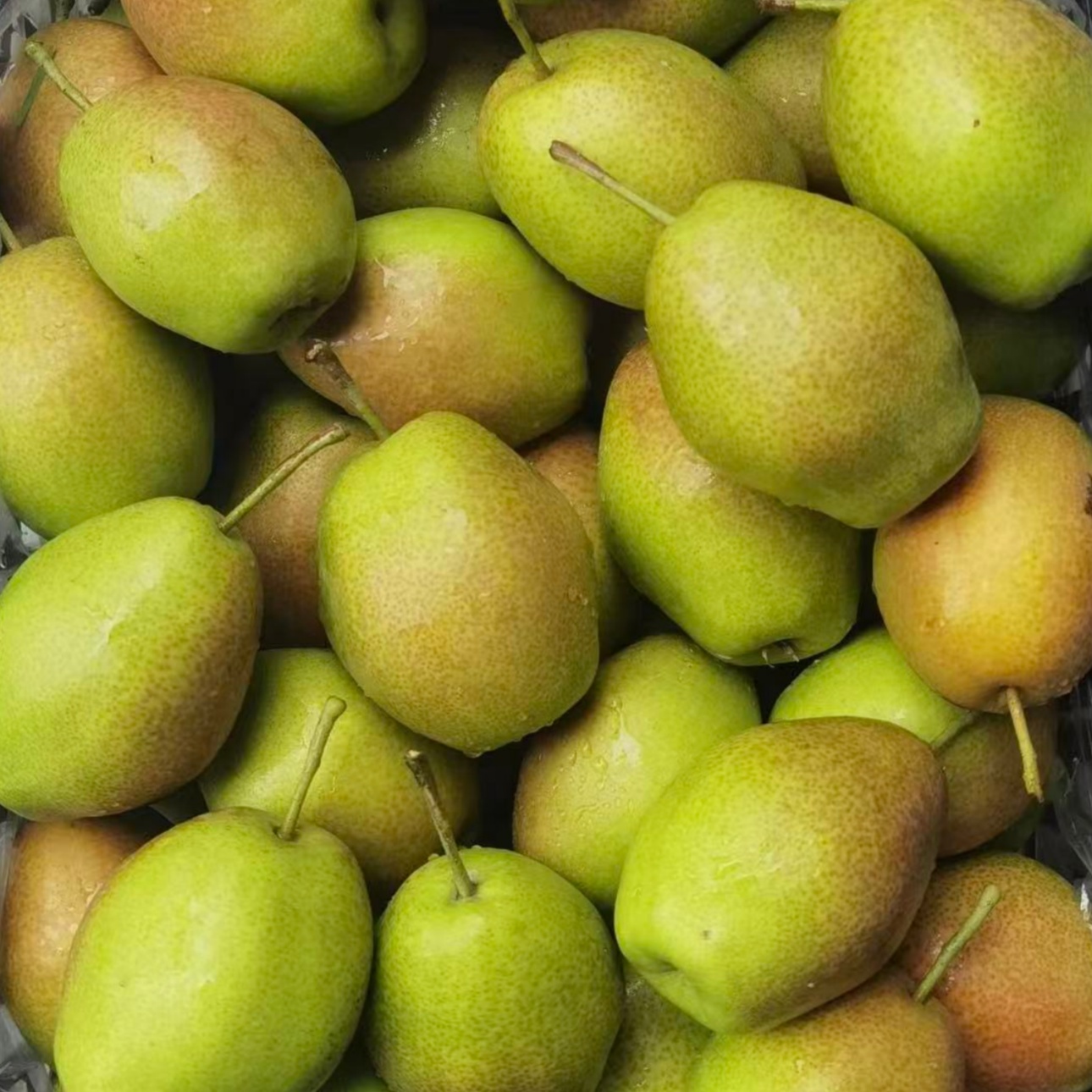 Fresh Pear