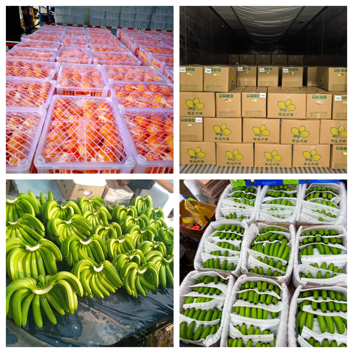 Sorting & Weighing